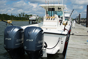 TE289 at dock02