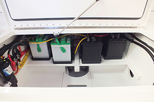 TE289 battery